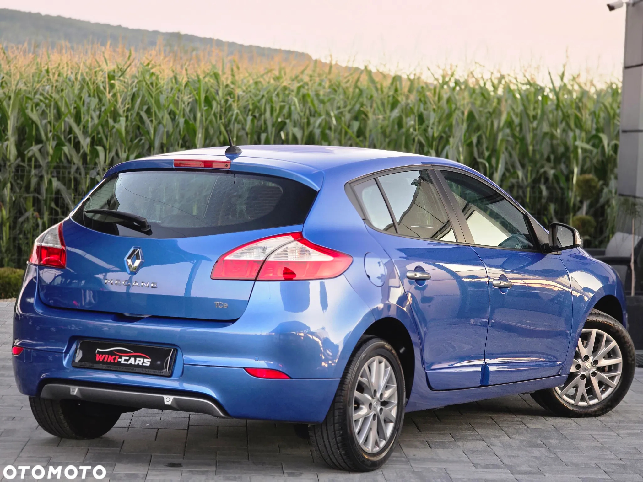 Renault Megane 1.2 16V TCe Energy Limited - 17