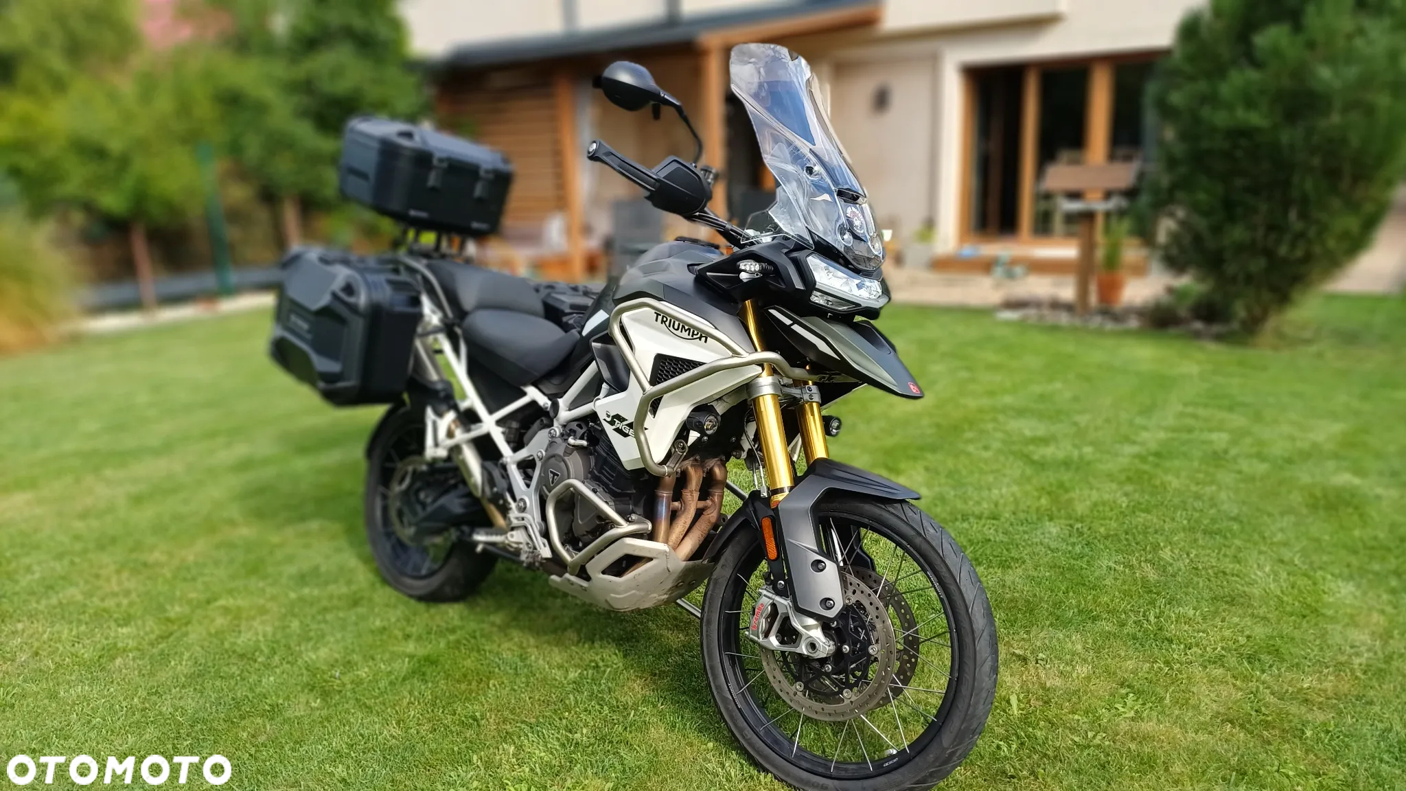 Triumph Tiger