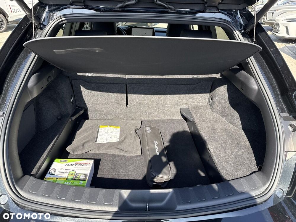 Lexus UX 250h GPF F Sport Design 2WD - 10