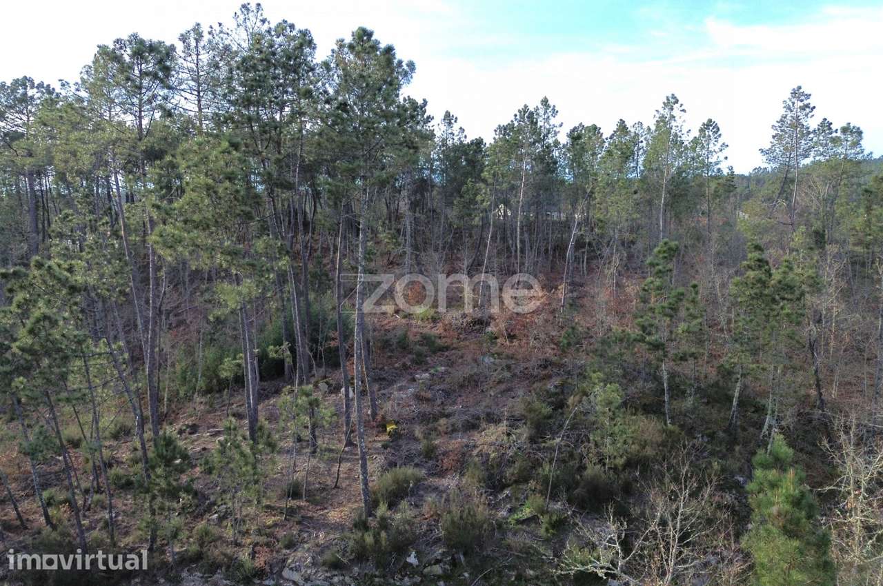 Terreno em Vale Do Bacelo - Almargem 1376m2 - Grande imagem: 2/19