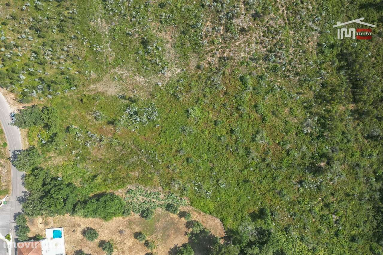 Terreno com 18.600 m2 no Olival - Grande imagem: 4/15