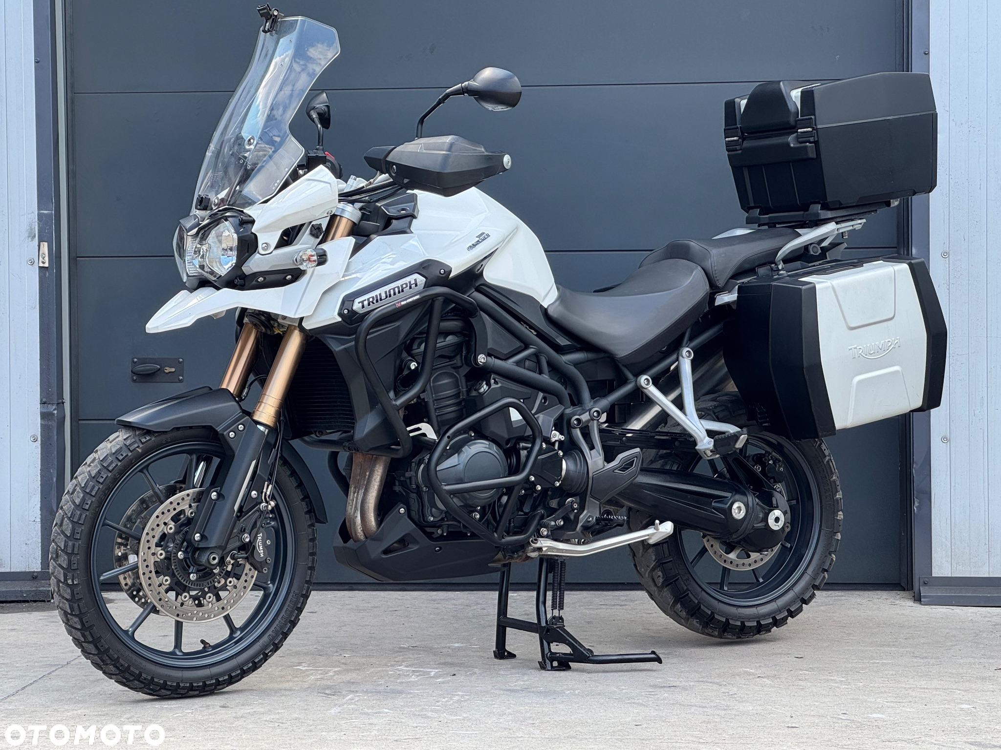 Triumph Tiger - 14