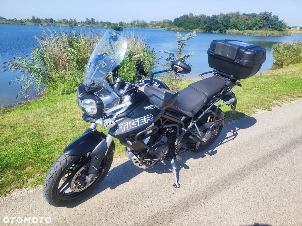 Triumph Tiger