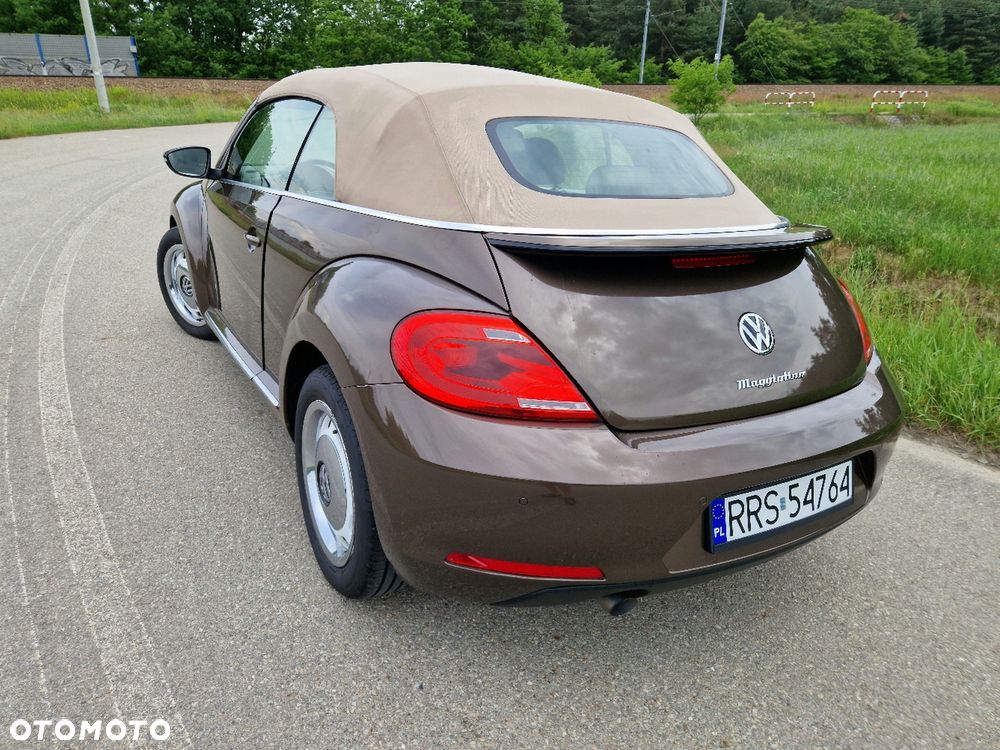 Volkswagen Beetle - 4