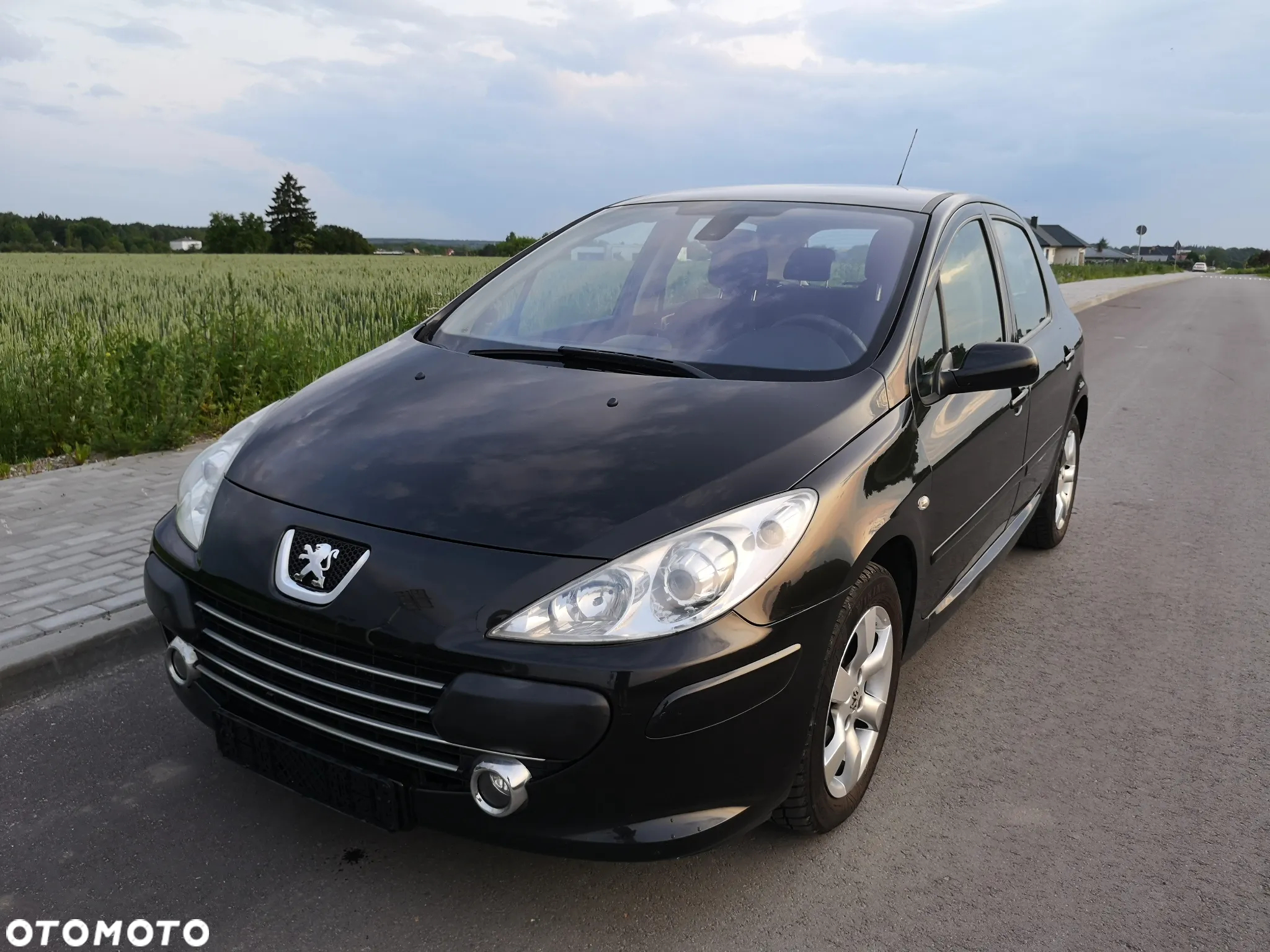 Peugeot 307 110 OXYGO - 25