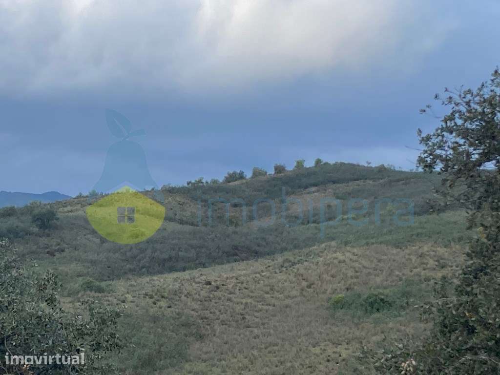 TERRENO RÚSTICO COM 29,296 m2 COM CULTURA ARVENSE - Grande imagem: 3/25