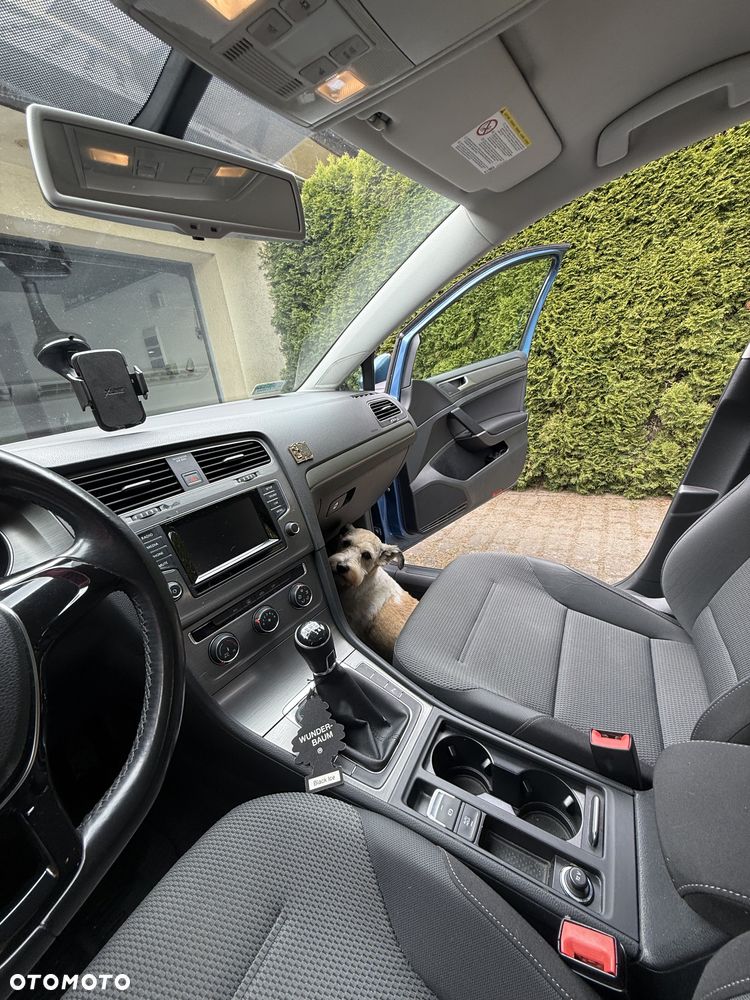 Volkswagen Golf - 12