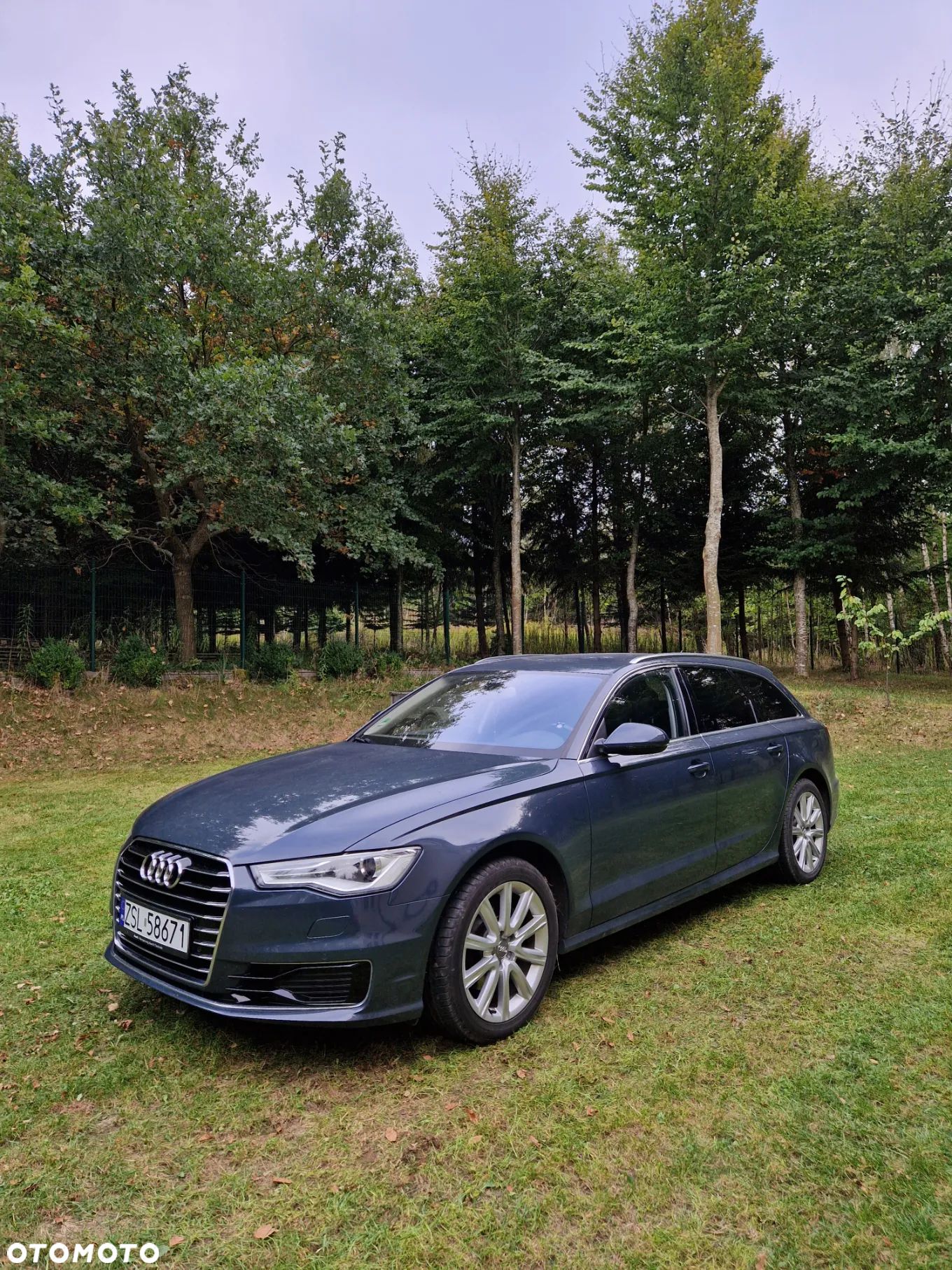 Audi A6 Avant 2.0 TDI Ultra S tronic - 1