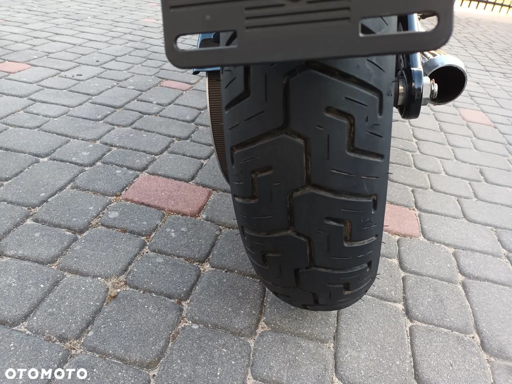 Harley-Davidson Softail Standard - 6