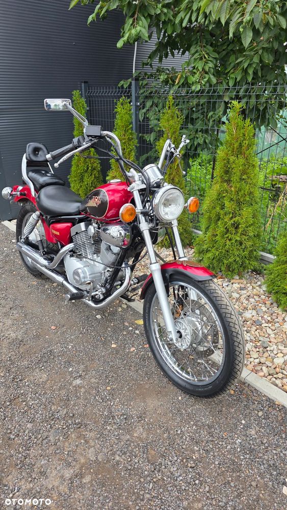 Yamaha Virago - 3