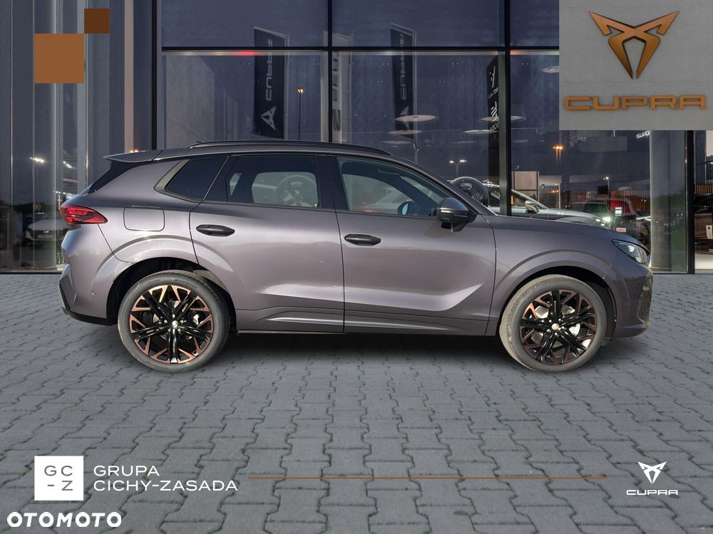 Cupra Terramar - 6