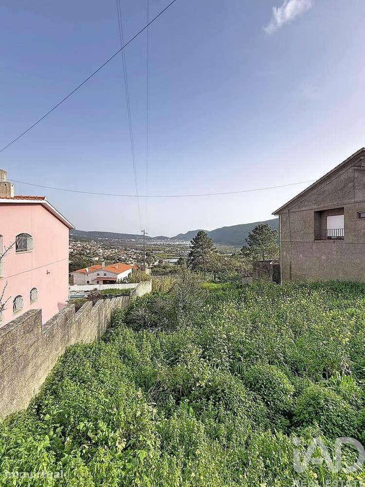 Terreno para construção em Mira de Aire - Grande imagem: 4/15