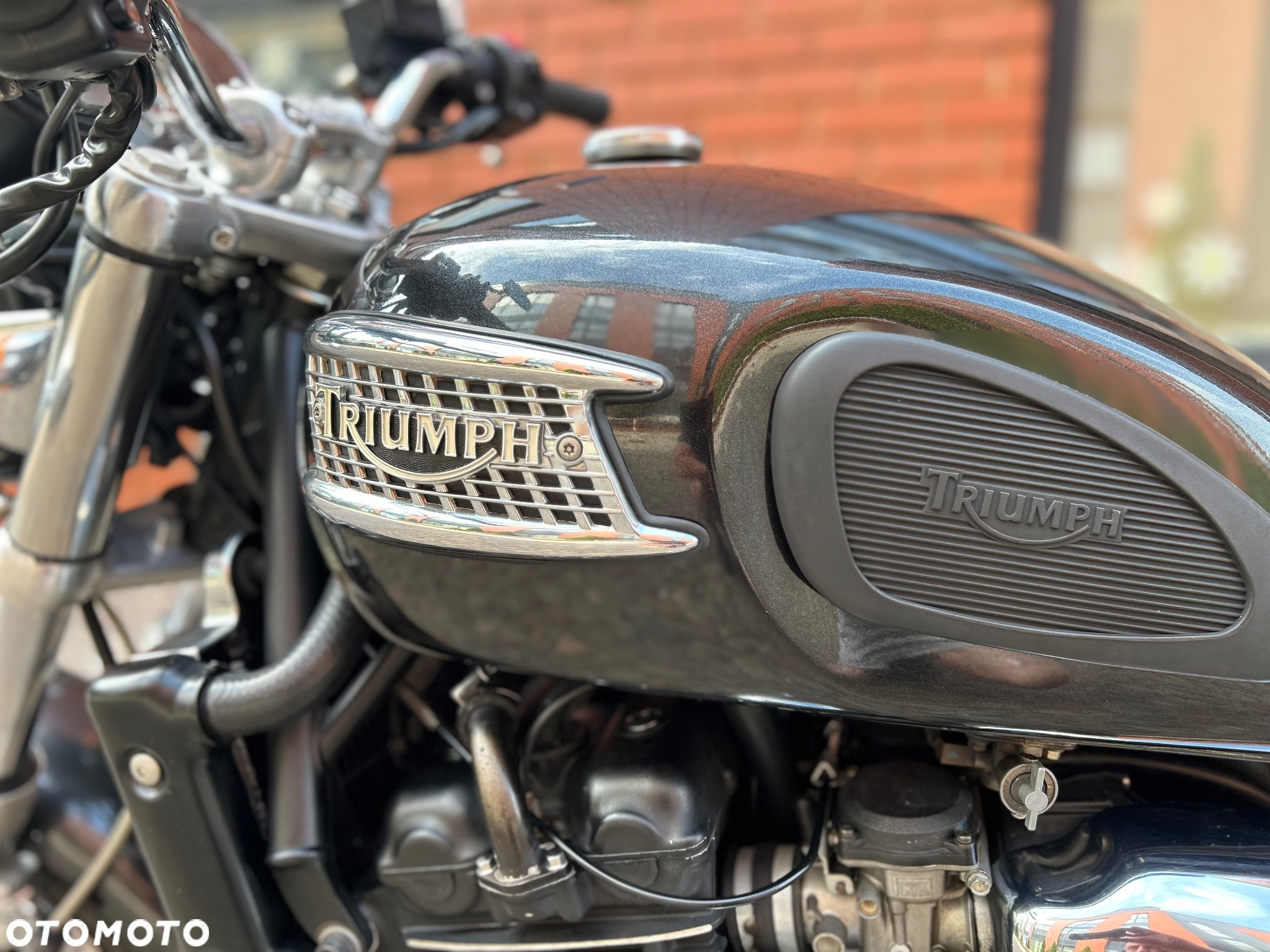 Triumph Legend TT - 18