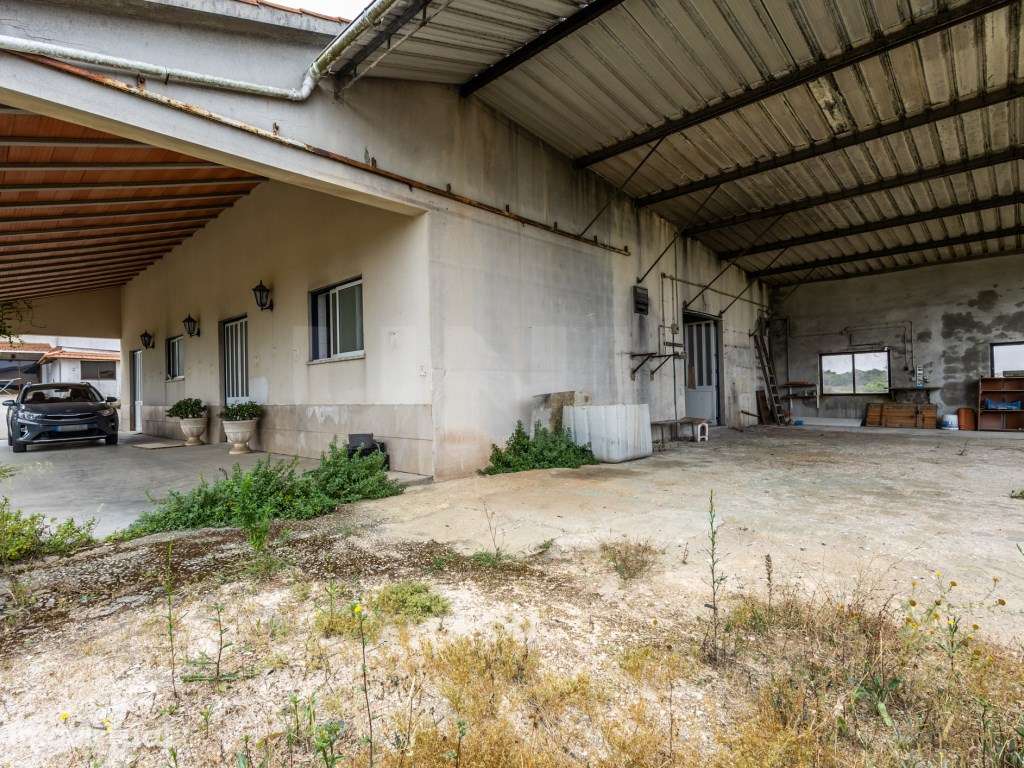Armazém, para arrendamento, Alcobaça - Grande imagem: 2/30