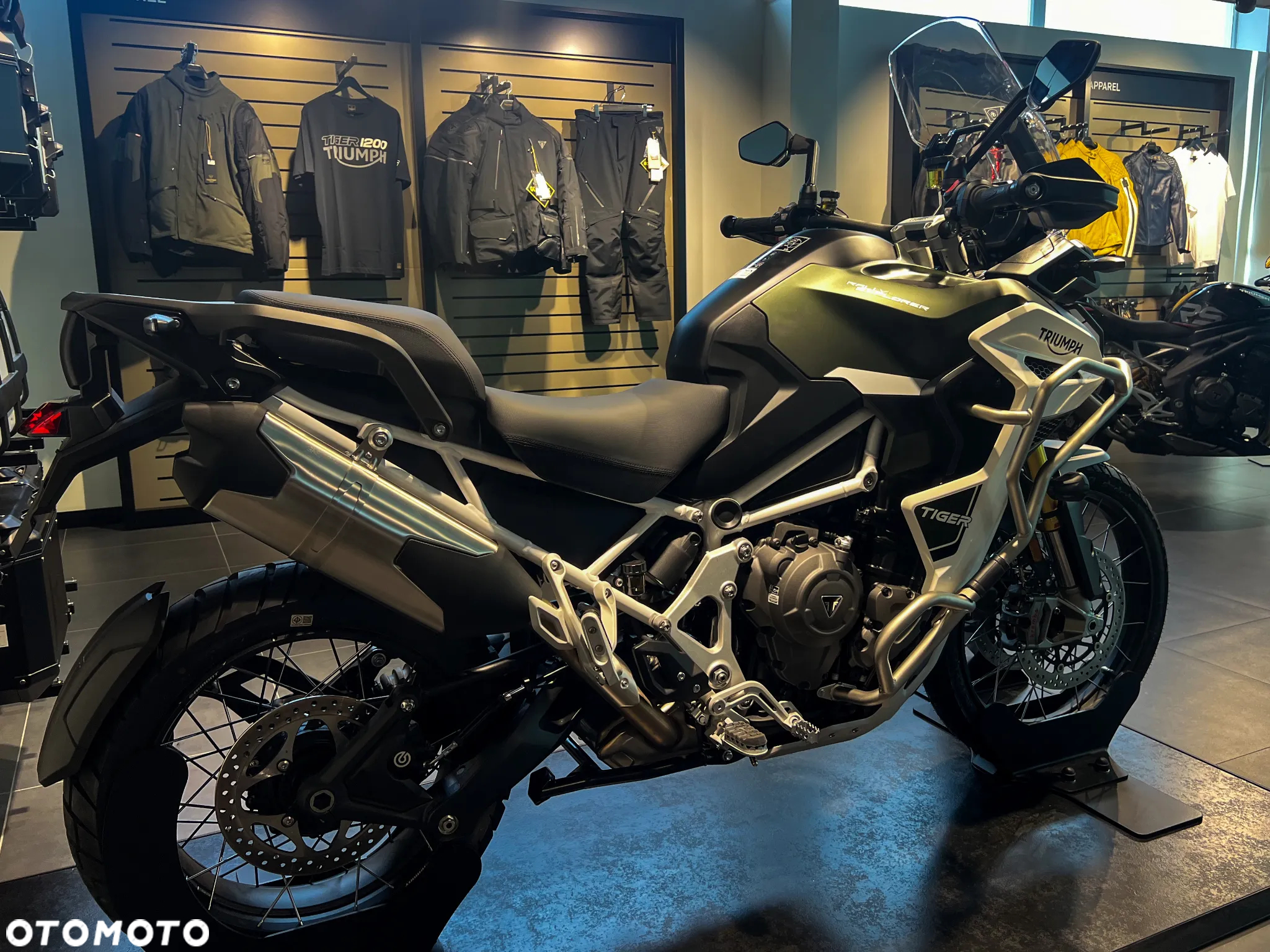 Triumph Tiger - 5