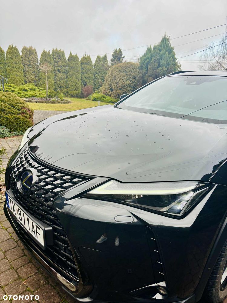 Lexus UX 250h GPF F Impression 2WD - 7