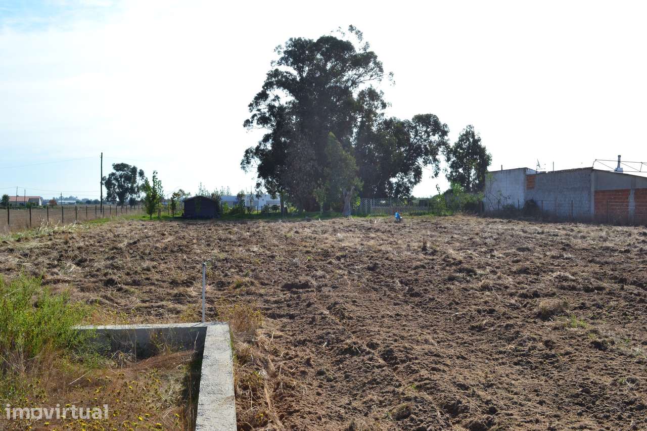 Terreno Urbano c/ viabilidade de construção - Grande imagem: 2/4