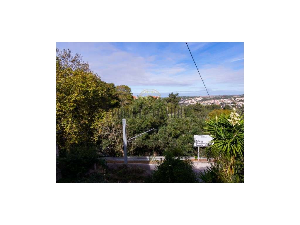 Moradia Apalaçada para reabilitar com vista campo em Sintra. - Grande imagem: 2/29