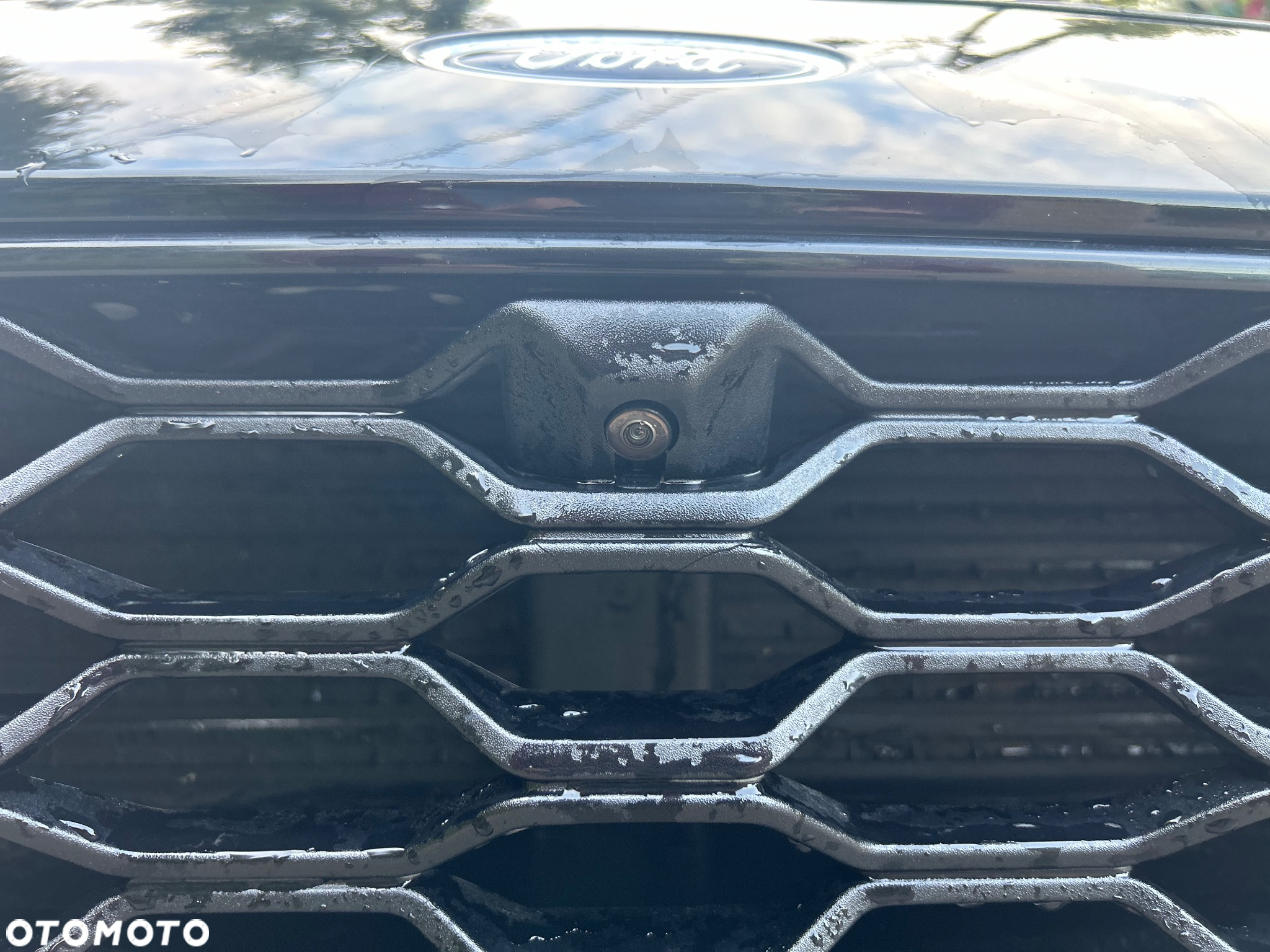 Ford Kuga 2.0 EcoBlue Hybrid ST-LINE X - 12