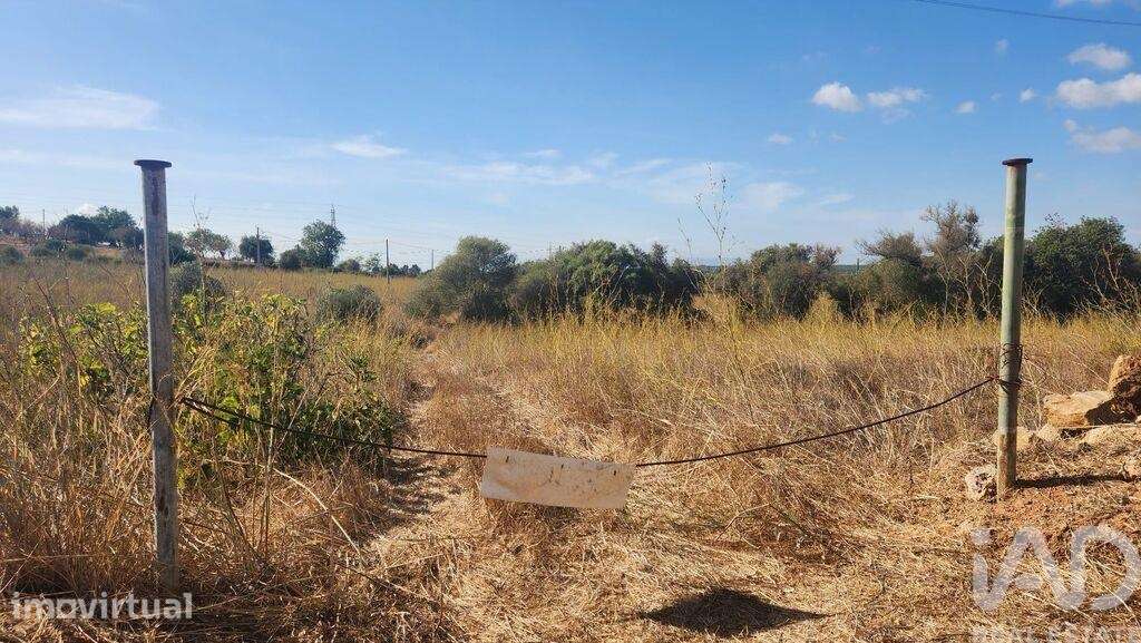 Terreno Agrícola em Algoz e Tunes - Grande imagem: 2/17