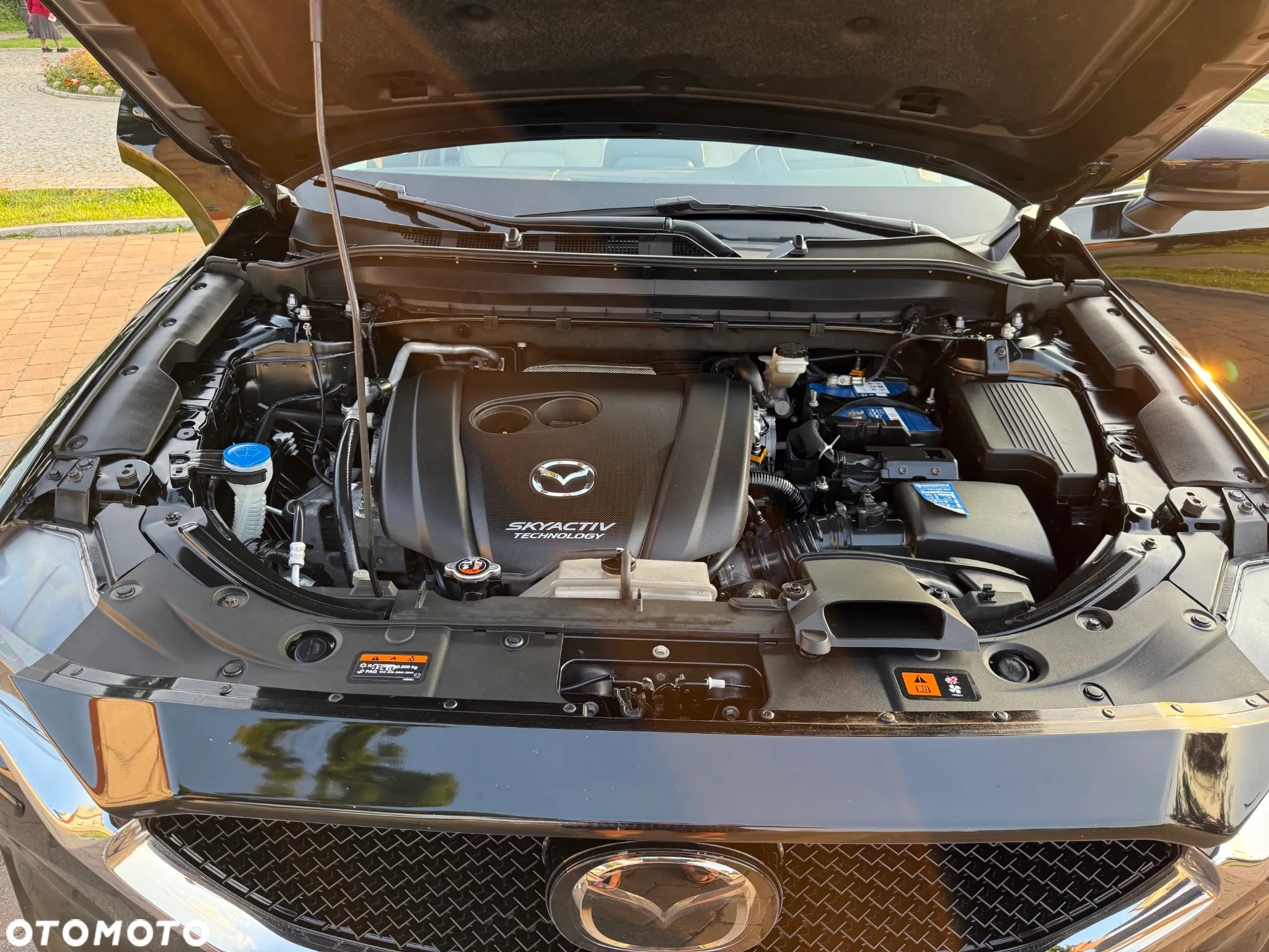 Mazda CX-5 2.5 Skypassion AWD - 25