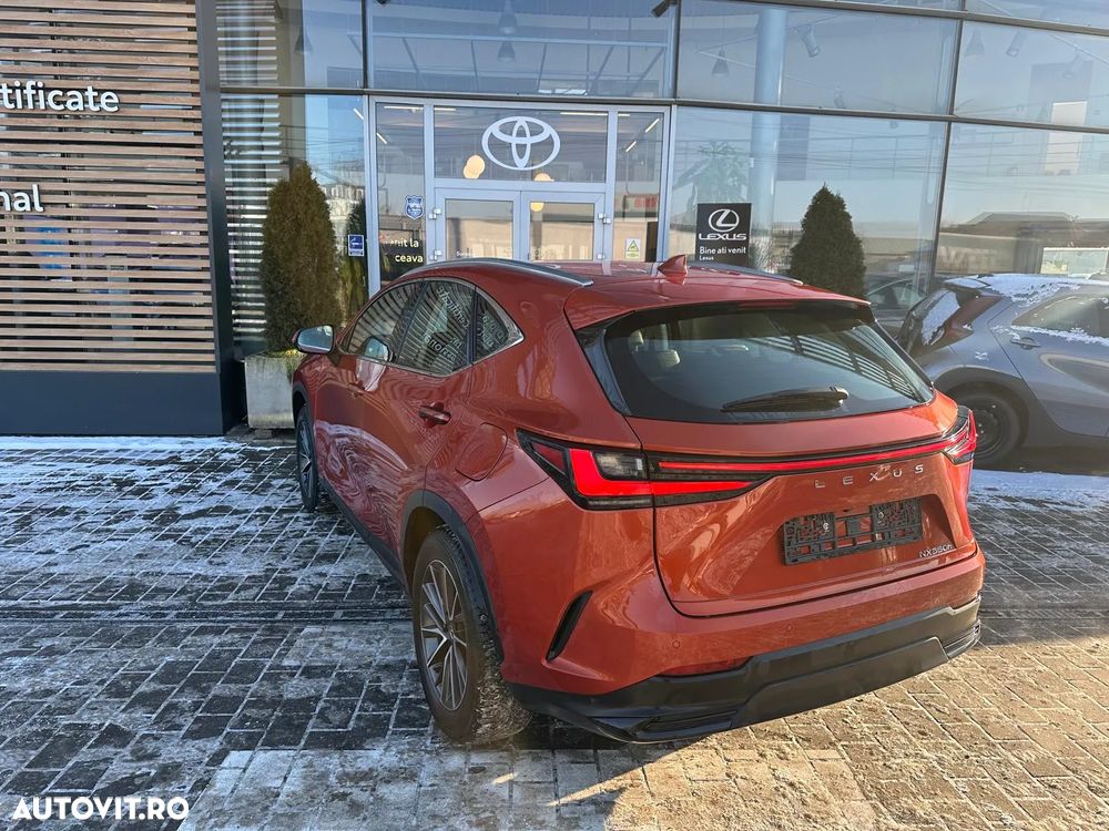 Lexus Seria NX 350h AWD 2.5 TNGA HV 25H CVT Business - 6