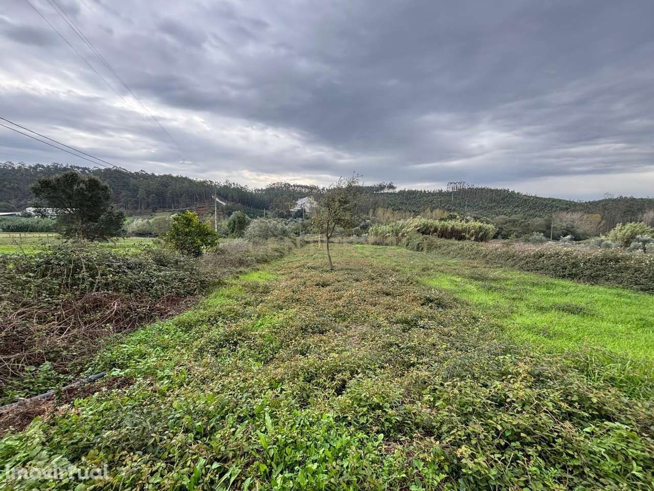 Terreno em localização privilegiada, com ótima exposição solar, na fre - Grande imagem: 3/8