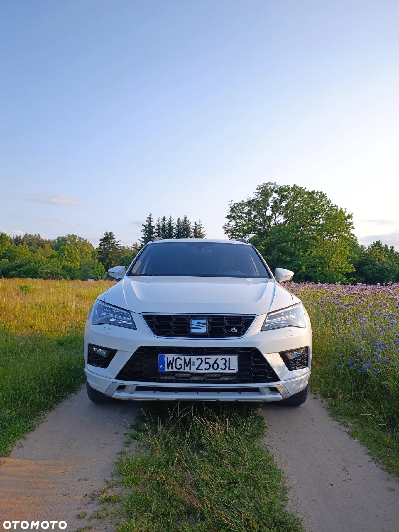 Seat Ateca 2.0 TDI 4Drive DSG FR - 2