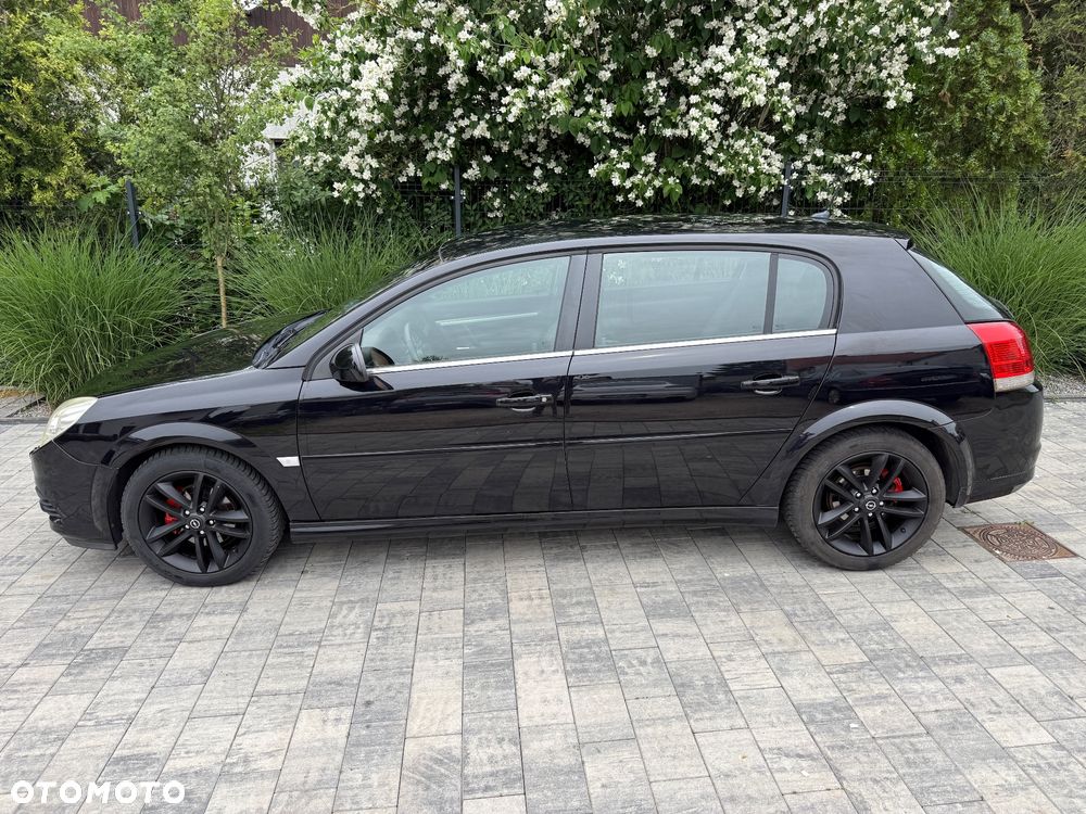 Opel Signum - 20