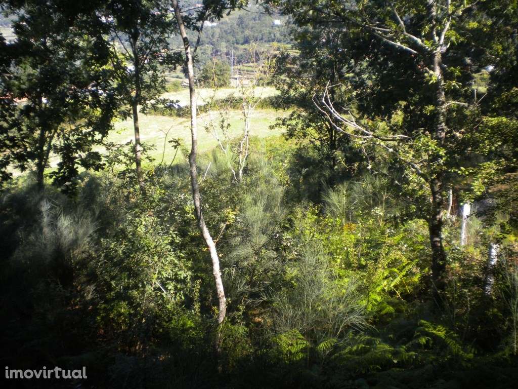 Terreno em Labrujó - Grande imagem: 3/6