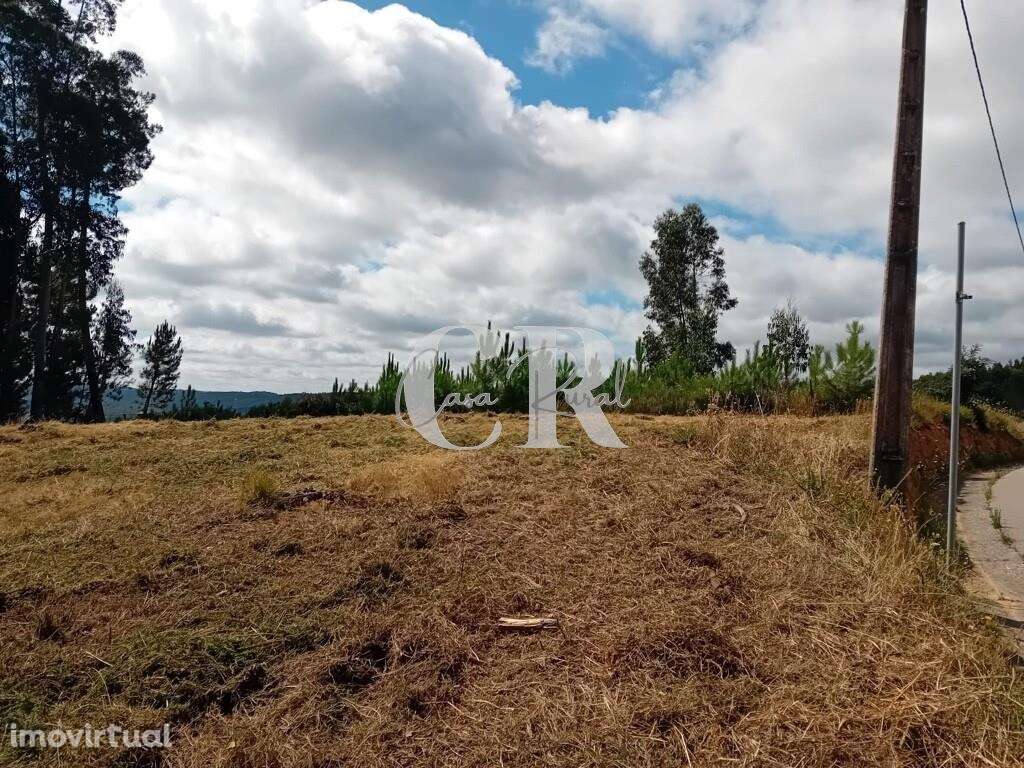 Terreno Rústico em Bairradas, Figueiró dos Vinhos, com viabilidade par - Grande imagem: 4/12