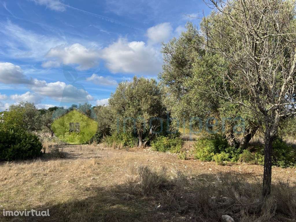TERRENO RÚSTICO COM ZONA DE EQUADRAMENTO DE EDIFICAÇÃO DISPERSA - Grande imagem: 5/29