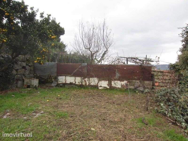 Moradias independentes venda , Lamego - Grande imagem: 3/8