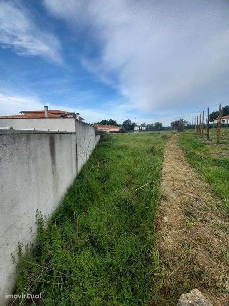 Lote para venda 43€/m2 - Grande imagem: 5/5