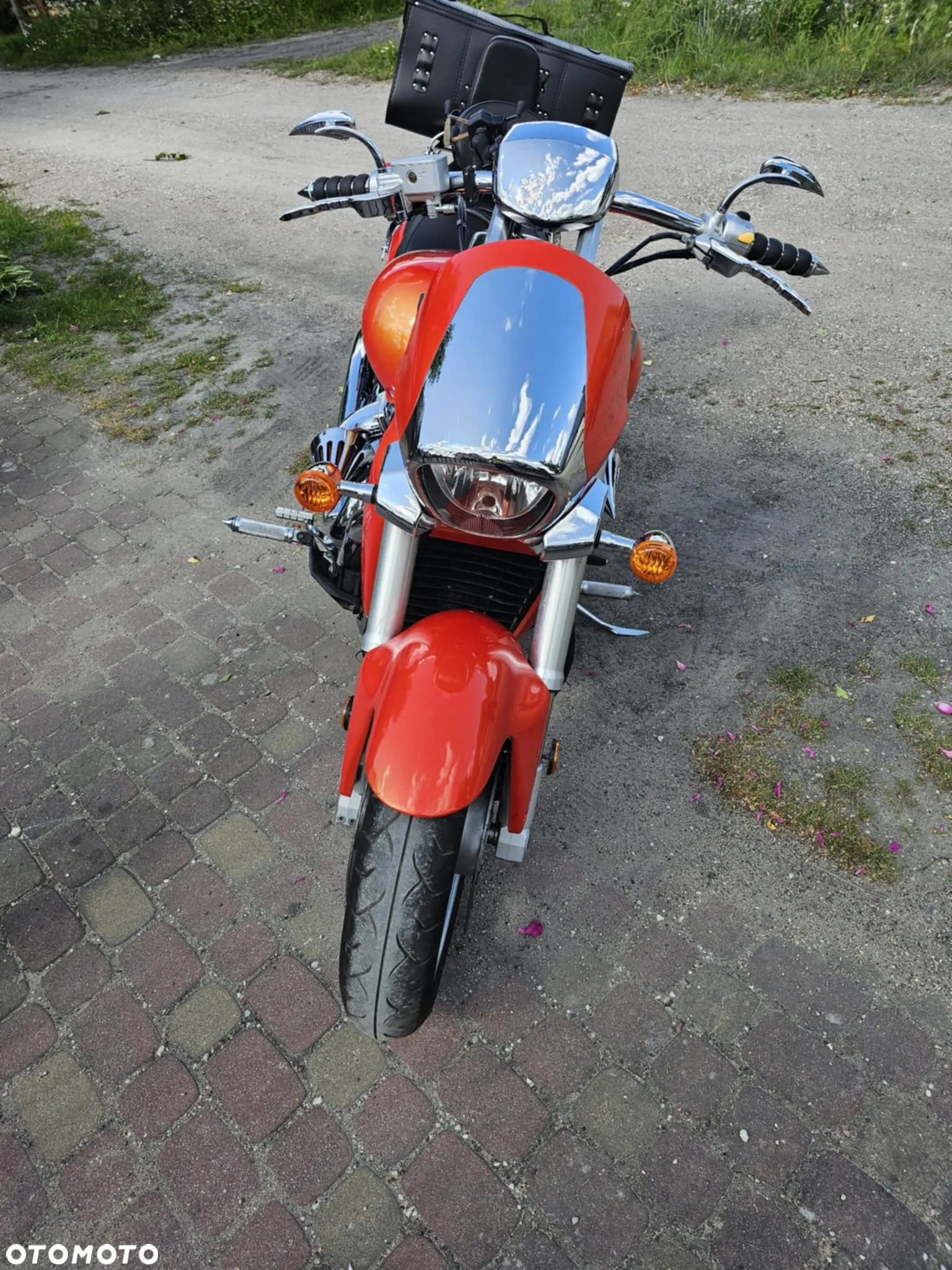 Suzuki Intruder - 3