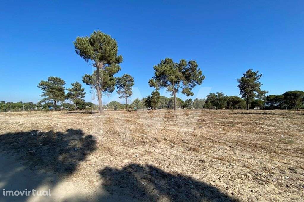 Moita| Terreno para Construçao | Oportunidade de Investimento - Grande imagem: 4/13