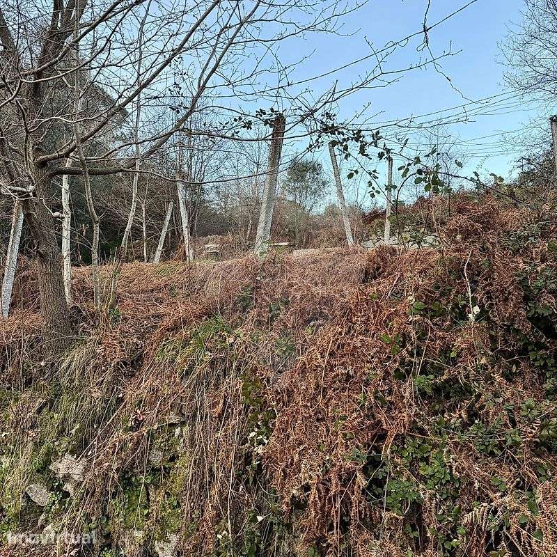Terreno  para venda - Grande imagem: 4/6