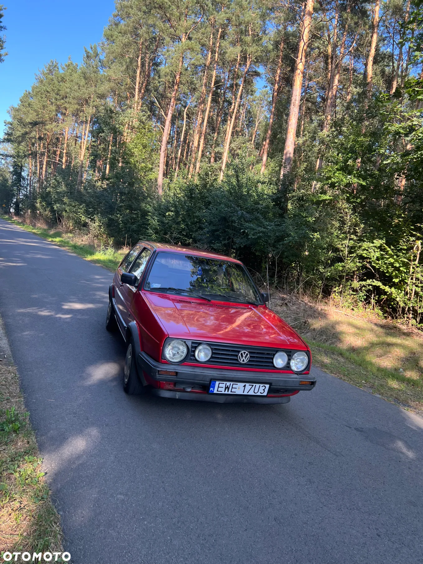 Volkswagen Golf 1.6 CL TDLLK TD - 2