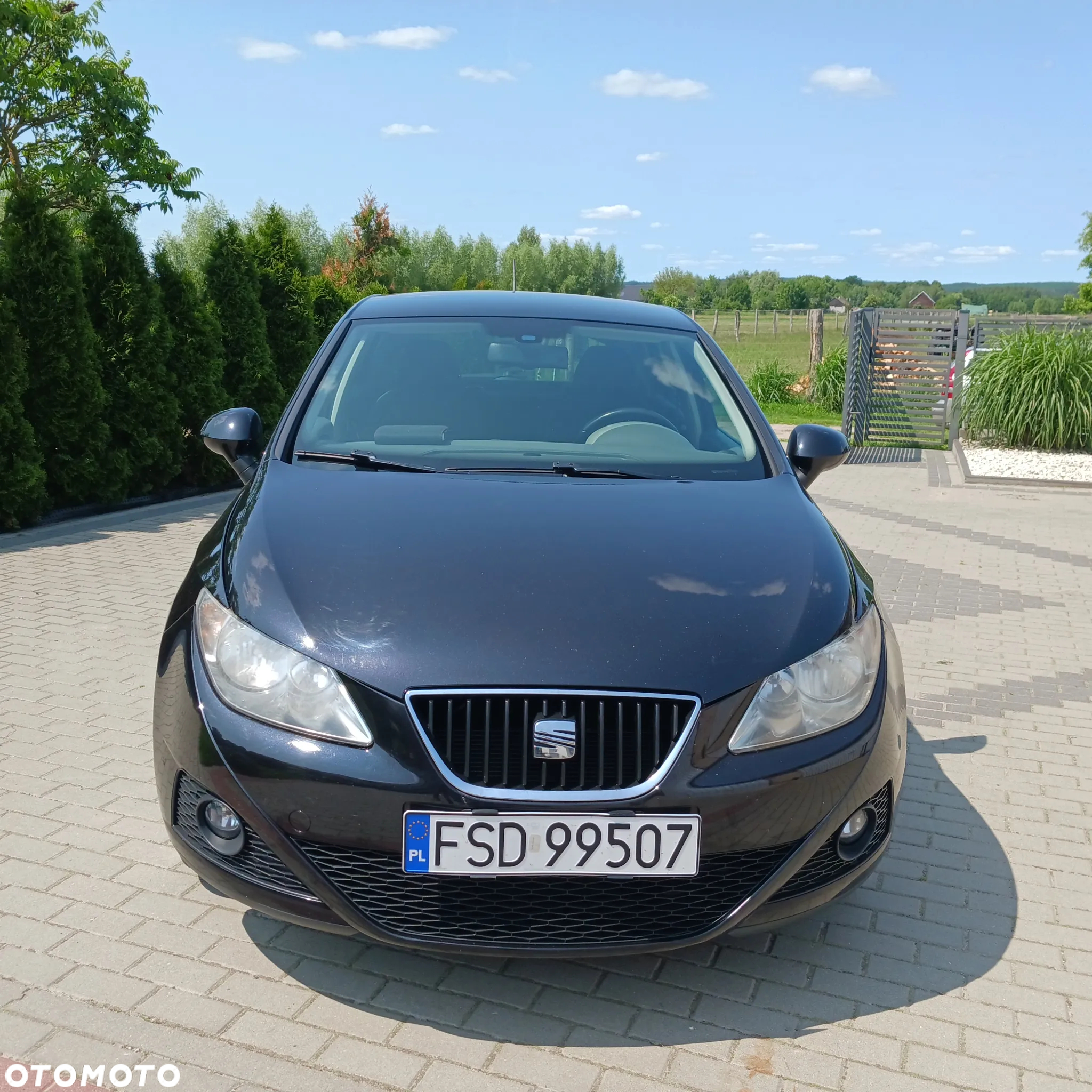 Seat Ibiza - 3