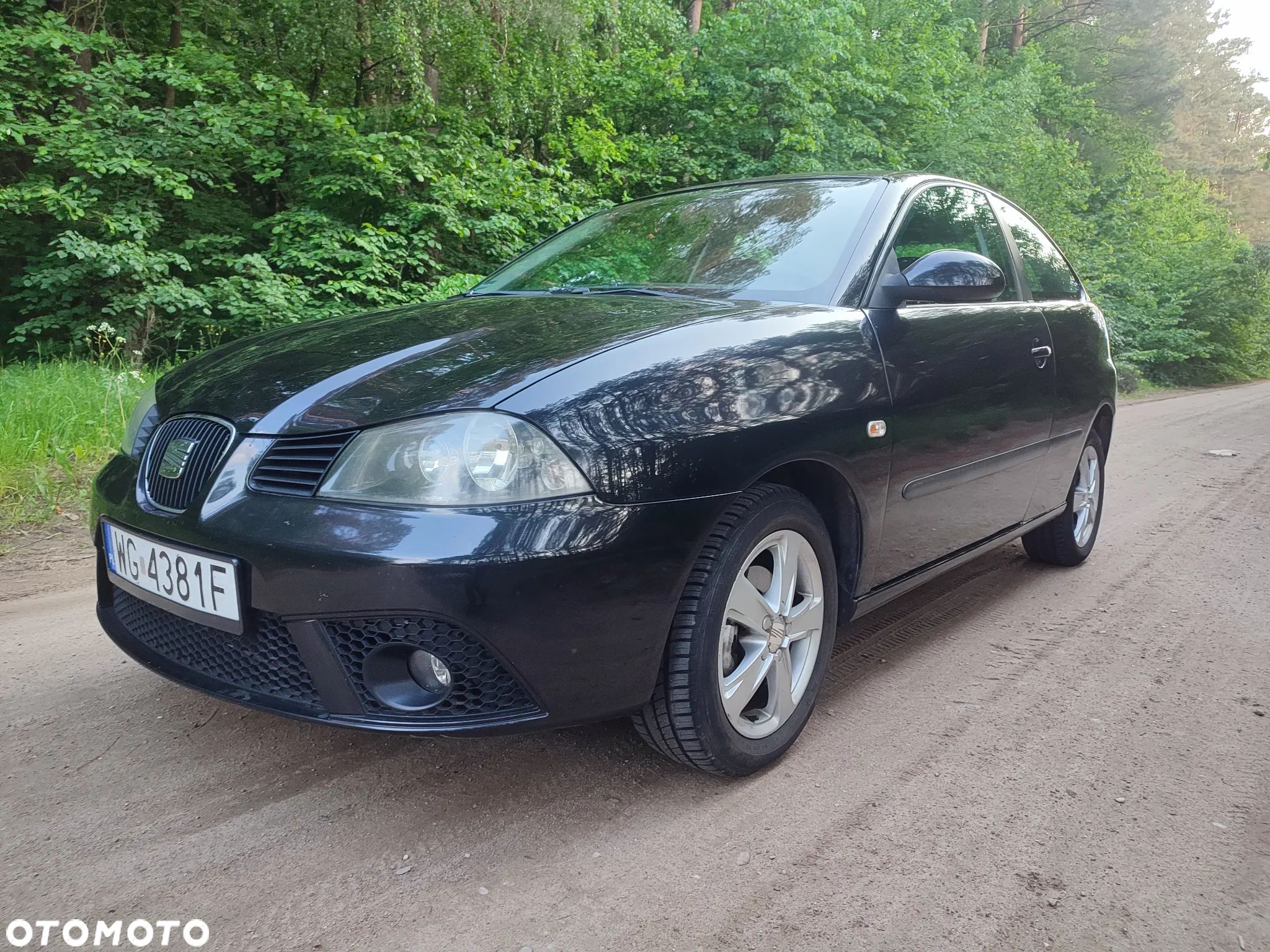 Seat Ibiza - 1