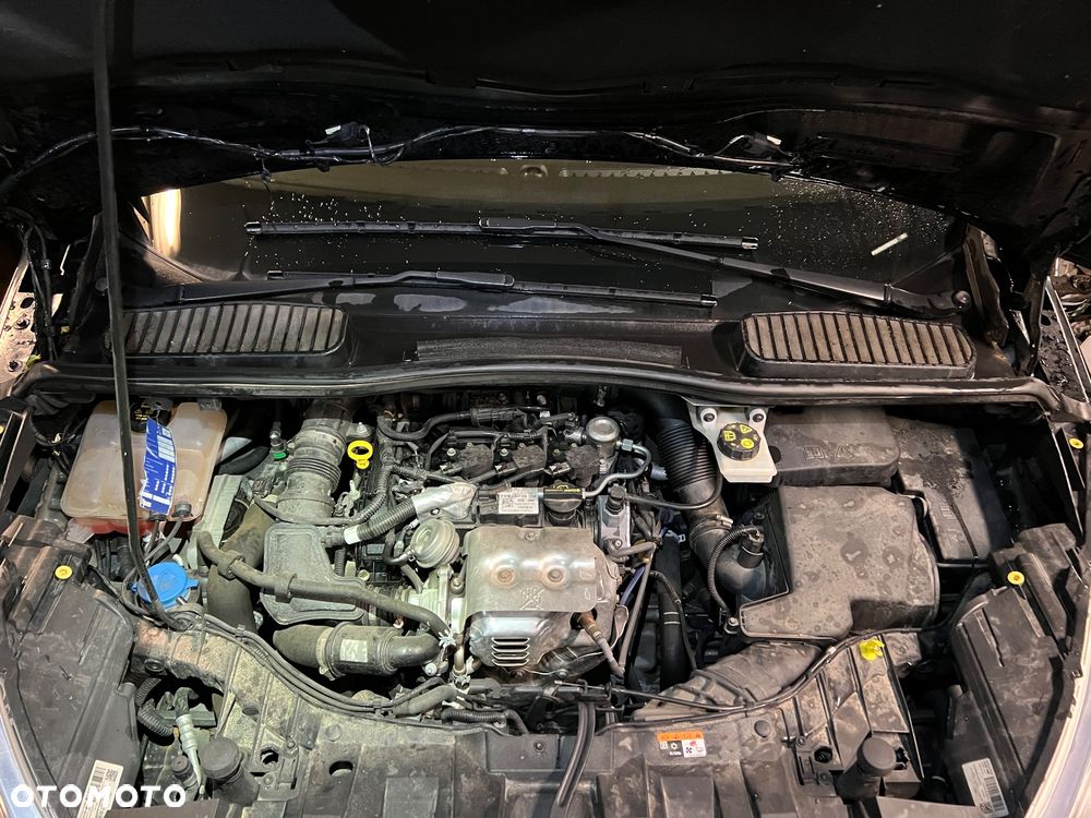 Ford C-MAX 1.0 EcoBoost Trend ASS - 2