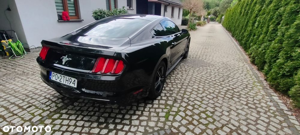 Ford Mustang 3.7 V6 - 3