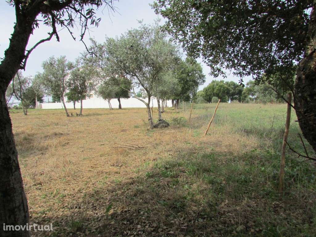 Terreno - Grande imagem: 5/11