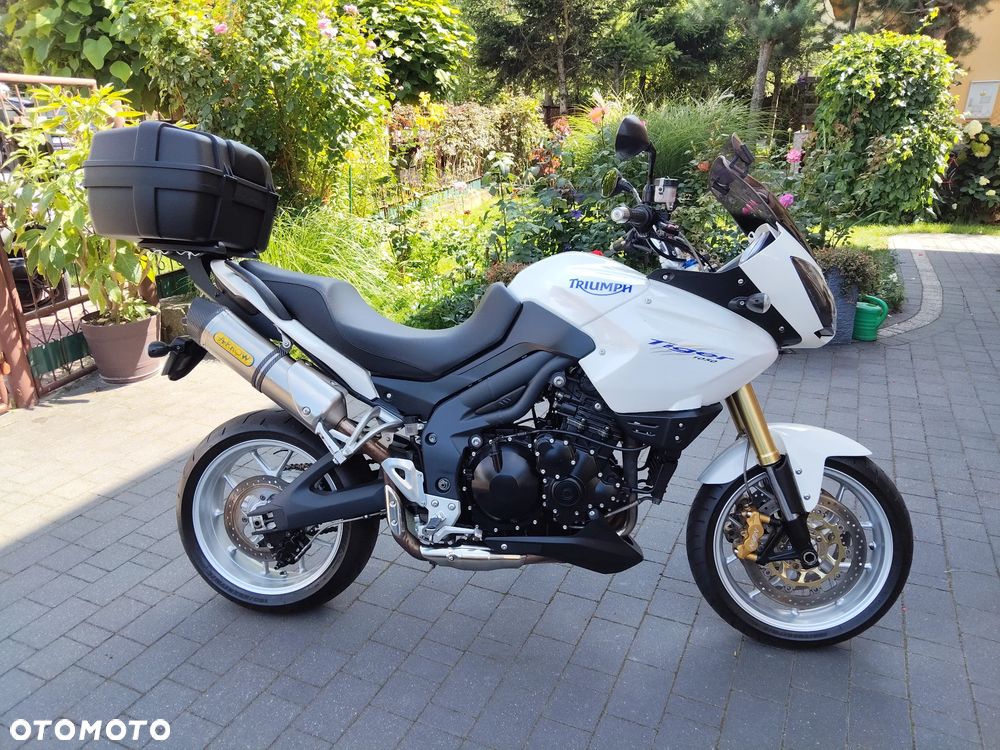 Triumph Tiger - 1