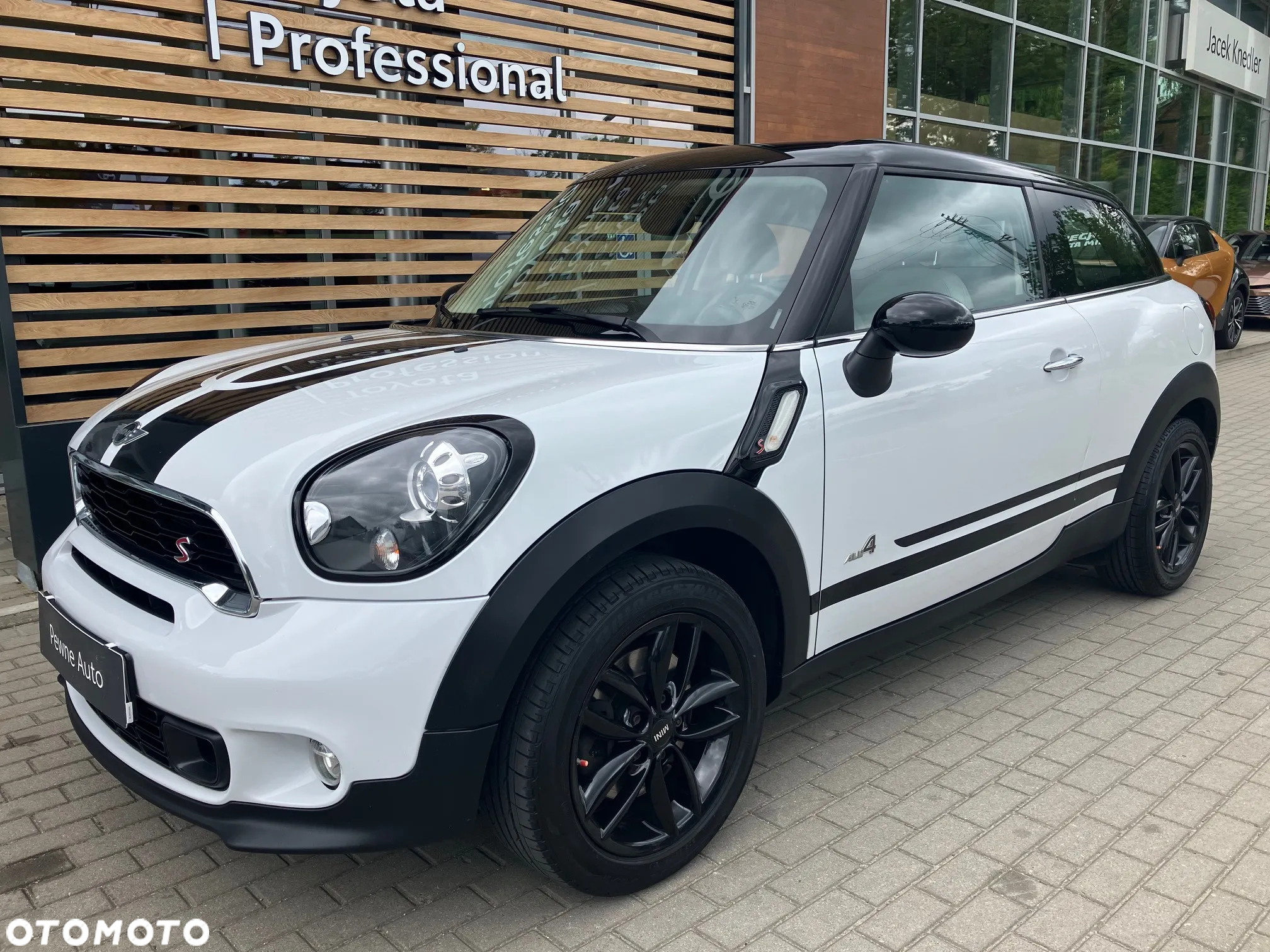 MINI Paceman - 2