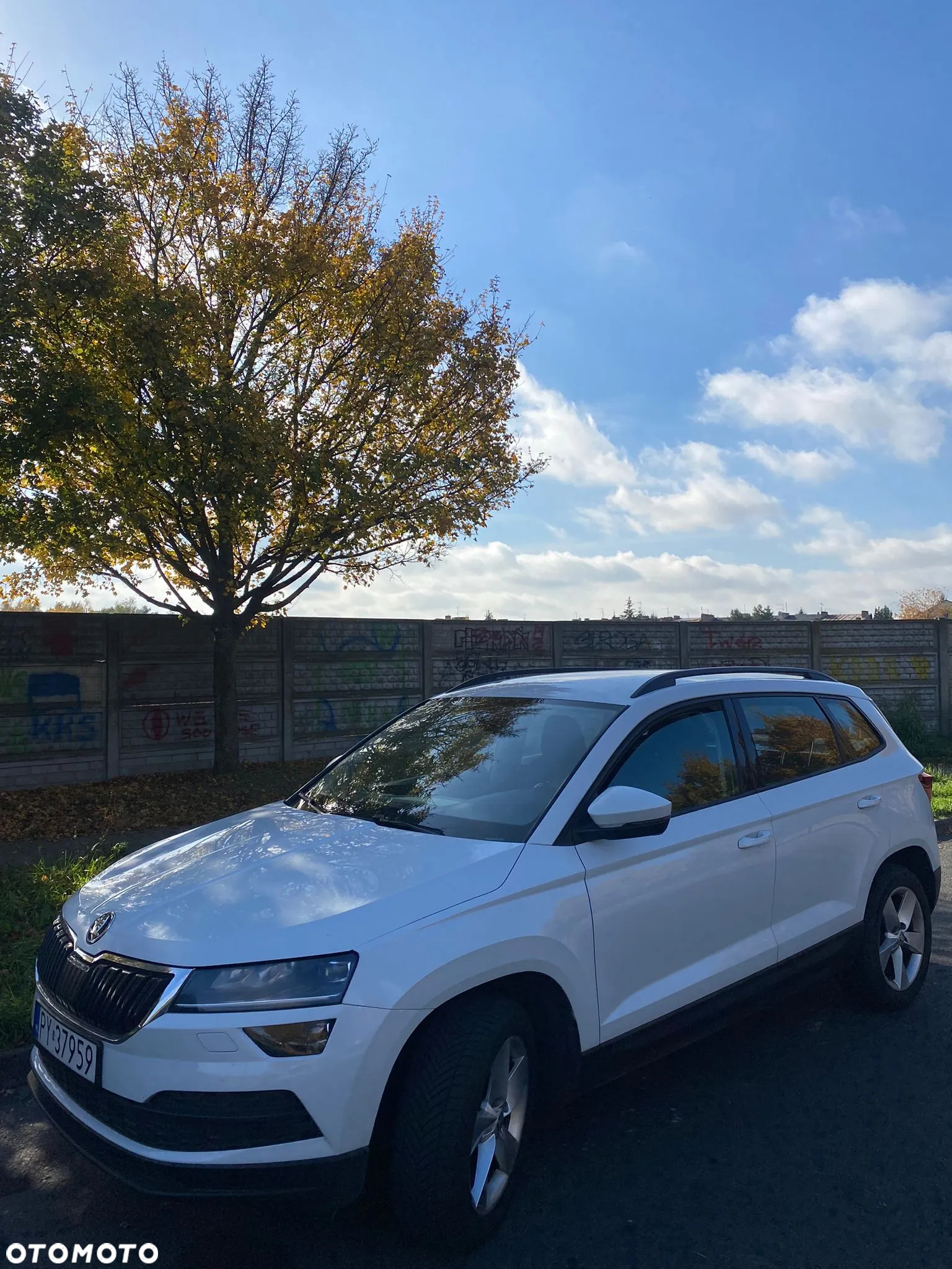 Skoda Karoq 1.6 TDI 4x2 Ambition DSG - 4