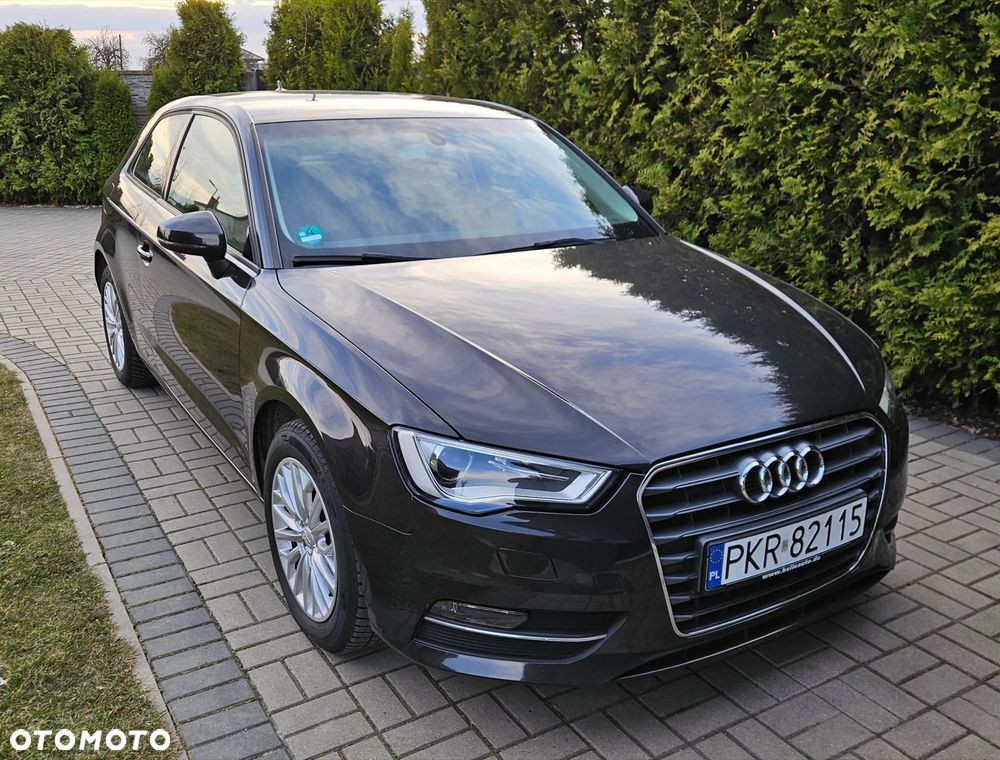 Audi A3 3-drzwiowe 1.6 TDI Attraction - 19
