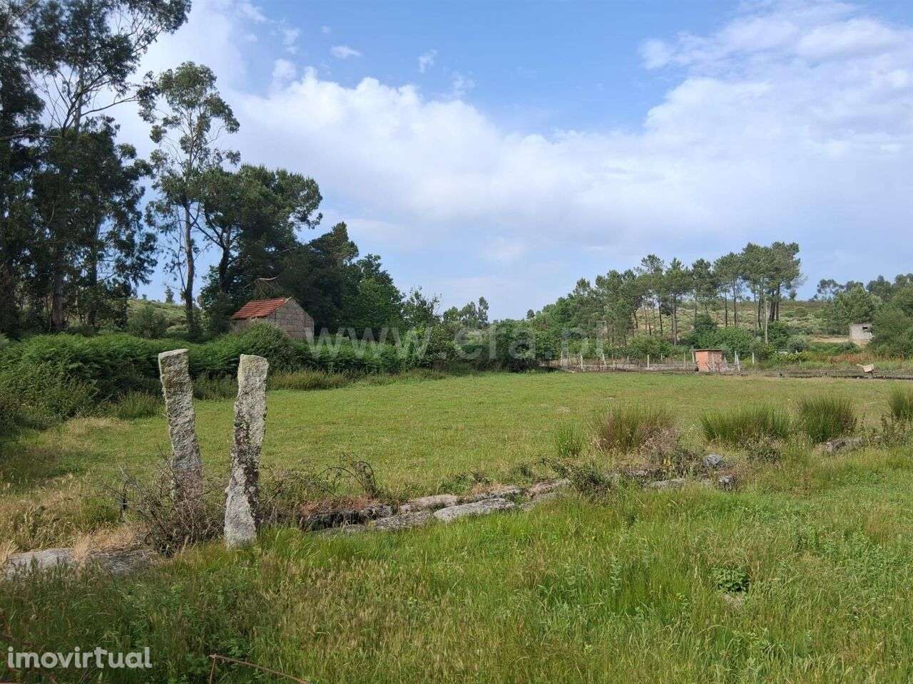 Terreno / Seia, Paranhos - Grande imagem: 4/9