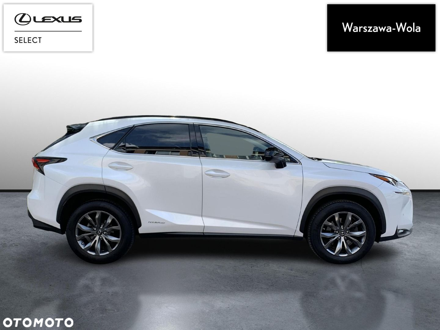 Lexus NX - 8