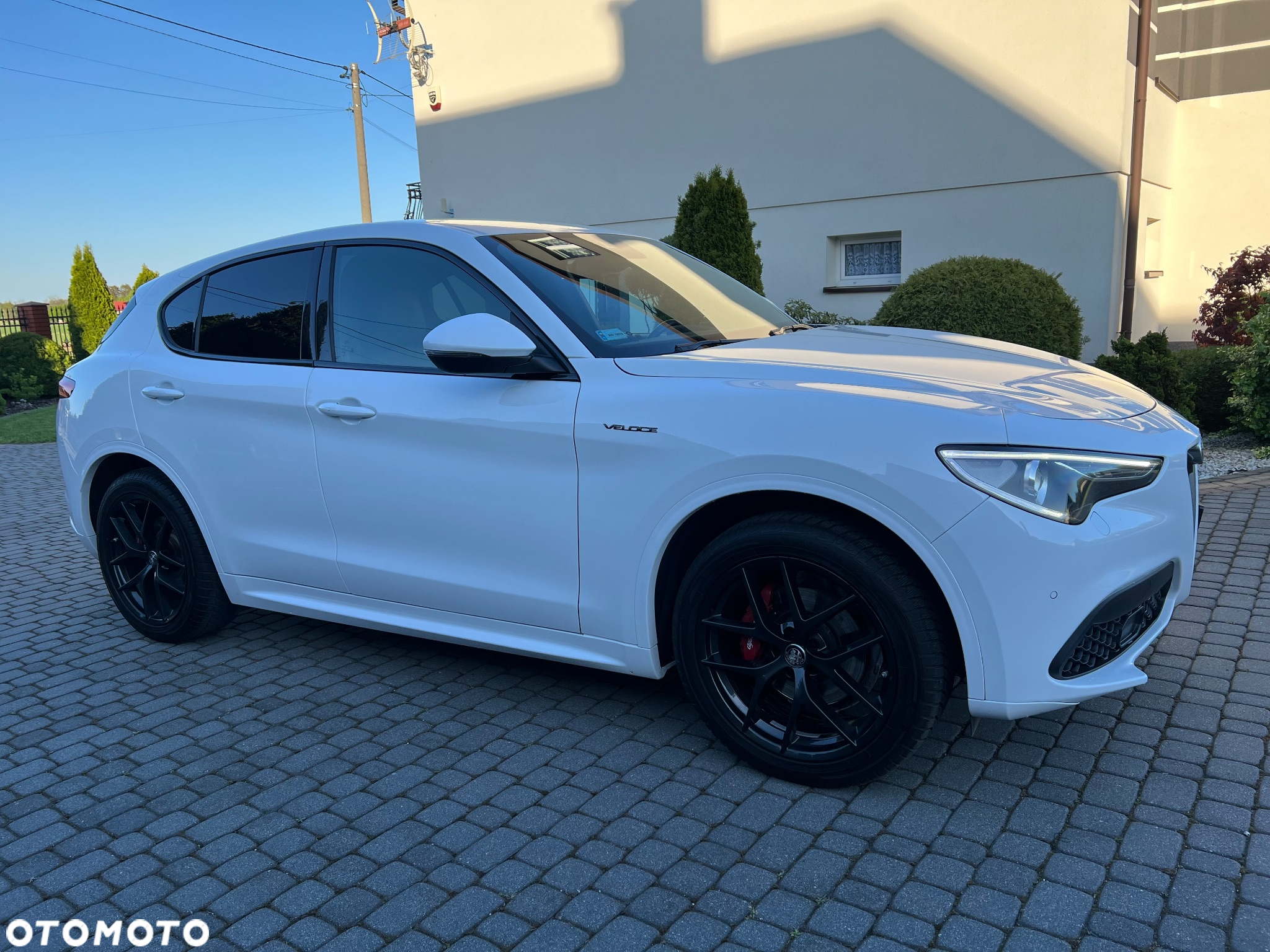 Alfa Romeo Stelvio 2.0 Turbo Veloce Q4 - 5